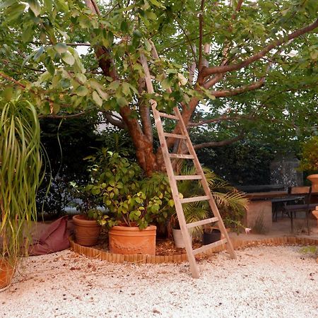 Jardin Vieux Port Panier Hotel Marseille Eksteriør billede