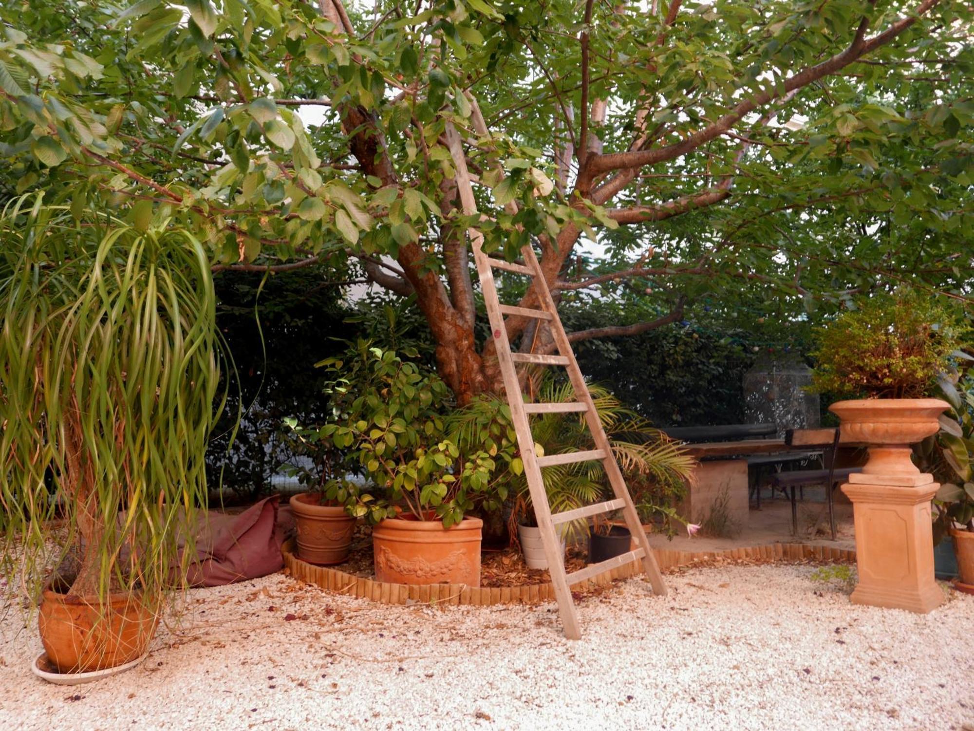 Jardin Vieux Port Panier Hotel Marseille Eksteriør billede