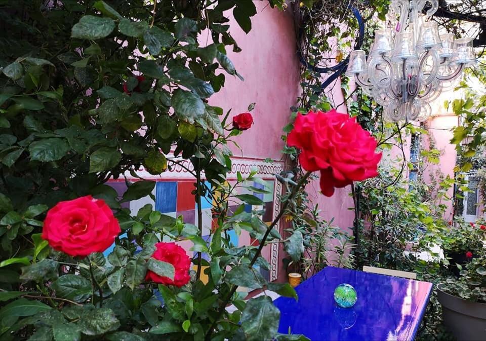 Jardin Vieux Port Panier Hotel Marseille Eksteriør billede
